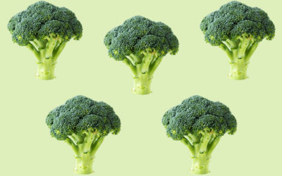 Søren Bregendal – Broccoli revolutionen