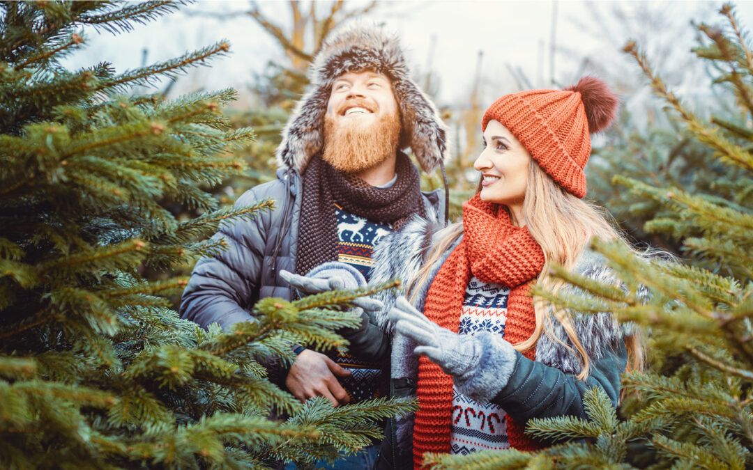 Køb årets juletræ på Stationspladsen bag Charlottenlund Station