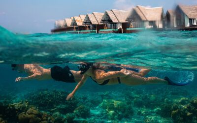 Rejseguide – Bjerge, sne eller koralø med gastronomi …?